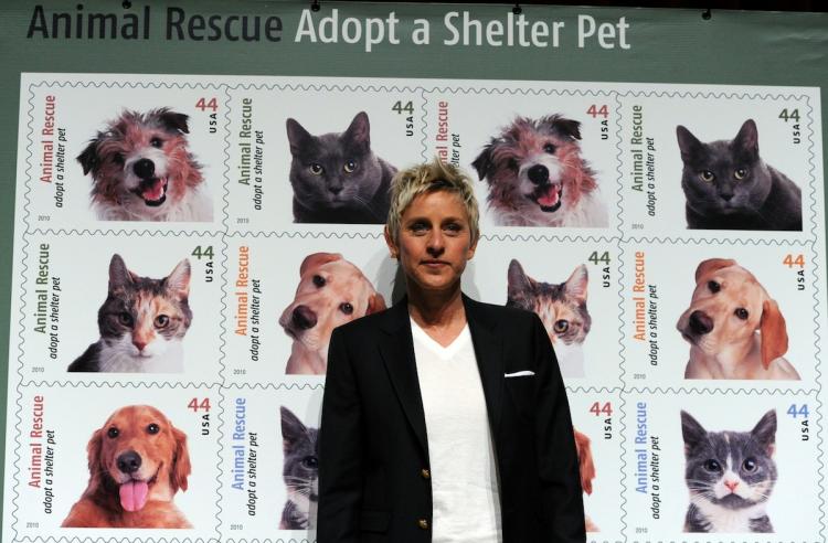 Ellen DeGeneres recently delivered the 2010 Adopt-A-Turkey campaign plea as this yearÃ�Â¢Ã¯Â¿Â½Ã¯Â¿Â½s spokesperson for the Farm SanctuaryÃ�Â¢Ã¯Â¿Â½Ã¯Â¿Â½s project. (Frazer Harrison/Getty Images)