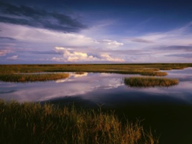 Big Cypress Marsh, Everglades National Park (Courtesy of John Brady, www.timeandlight.com)