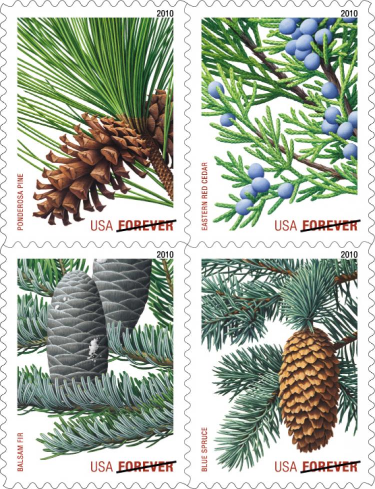 The new USPS evergreen forever stamps.  (Courtesy of United States Postal Service)