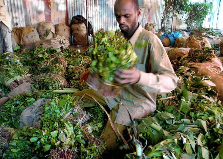 A Somali trader with khat, a narcotic drug that may soon be banned in Britain.  (Simon Maina/AFP/Getty Images)