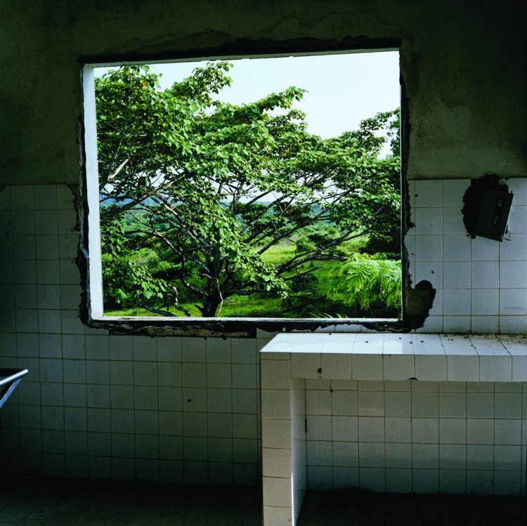 WINDOW: Abandoned hospital in Tubmanberg, Bomi County, Liberia, 2003.  (Tim Hetherington)
