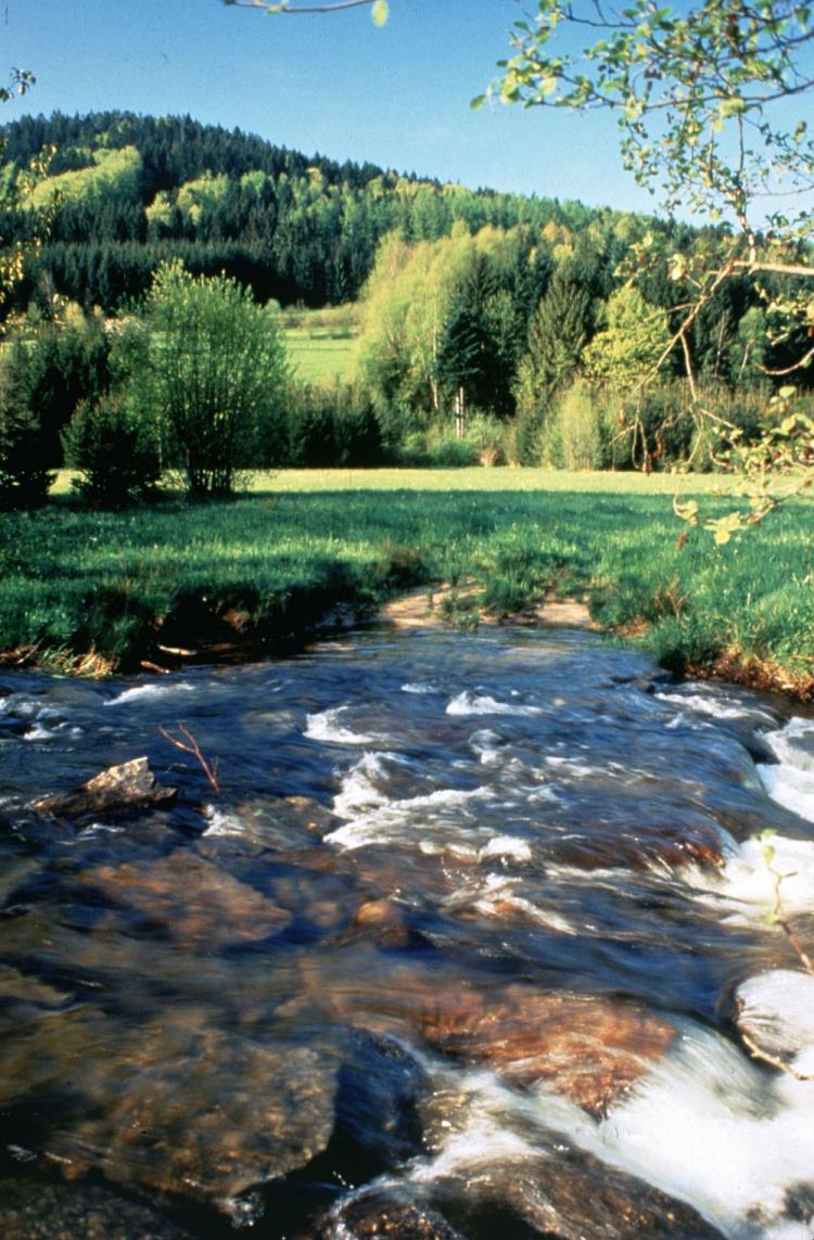 The clear waters of Lorraine, France. The EU nature preservation initiative, called Natura 2000, announced on Jan. 10 the expansion of the world's largest network of protected sites. (Courtesy of European Commission)