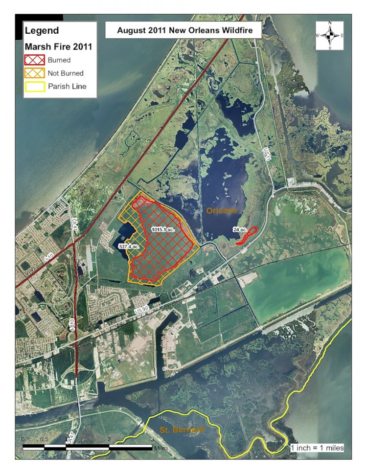 (Courtesy of the Mayor's Office)