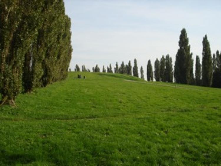 An average Dutch park in an average Dutch city. (Courtesy of Carien de Zwart)