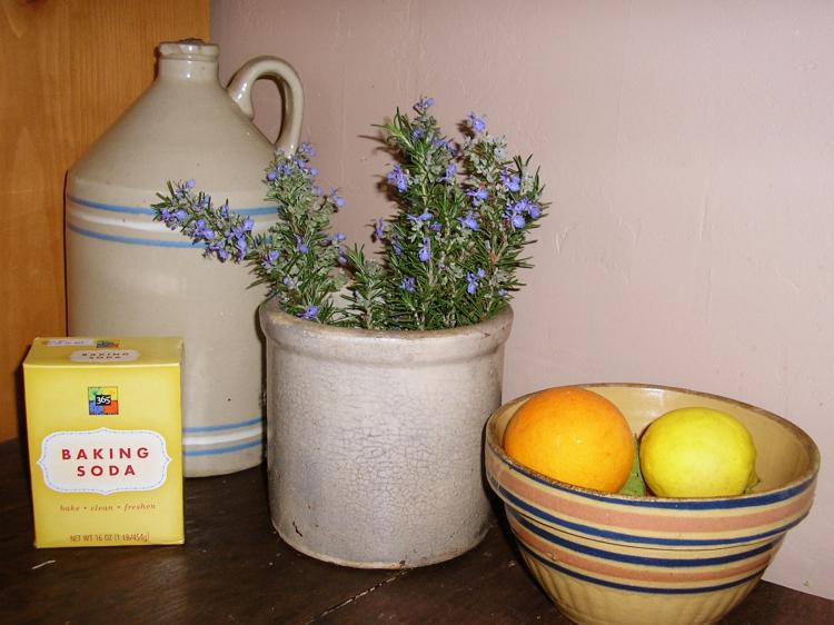 Baking soda, vinegar, Rosemary and citrus peel are natural ingredients that can help keep your home clean and smelling good without harmful chemicals. (Gisela Sommer/Epoch Times)