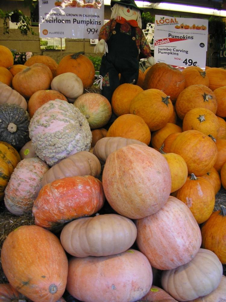 Pumpkins Galore! (Gisela Sommer/The Epoch Times)