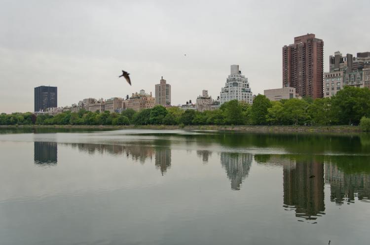 West side view from Central Park.  (Aloysio Santos/The Epoch Times)