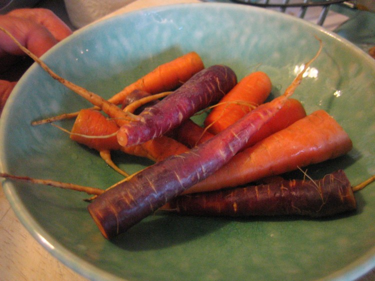 Home-grown 'Purple Haze' and 'Egmont Gold' carrots. (Gordon Joly/Wikimedia Commons)