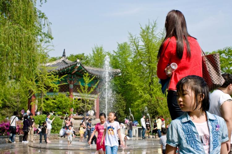 Locals in Gayangdong, South Korea celebrate the annual Cherry Blossom Festival.(By Jarrod Hall/Epoch Times Staff )