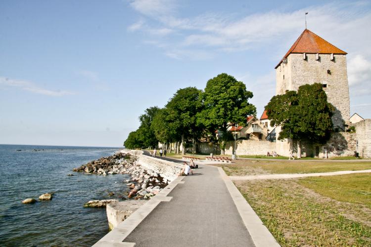 POLITICAL HUB: Outside Visby city walls, 2009 (Pirjo Svensson/The Epoch Times)