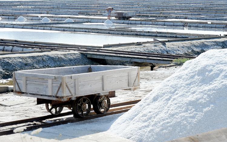 A man collects salt in the ancient Piran Soline salt plant in the Republic of Slovenia where workers collect the mineral as they used to in the 14th century. (Hrvoje Polan/AFP/Getty Images)