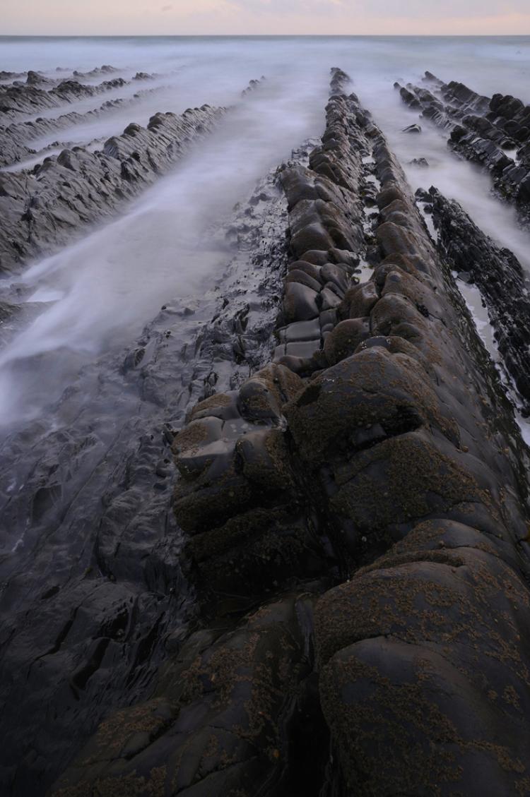 'Tides and Time' takes us from the shore into the sea (Karen Flanagan McCarthy)