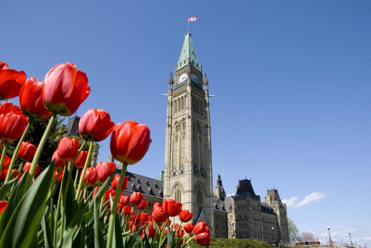 Spring tulips on Parliament Hill in Ottawa, with the Peace Tower in the background. This year, for the second time in a row and the fourth time in six years, the nation's capital was rated the 'Best Place to Live' in Canada by MoneySense magazine. Ottawa- (Samira Bouaou/The Epoch Times)