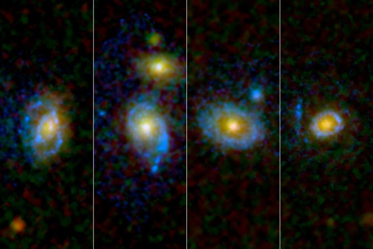 Astronomers have found unexpected rings and arcs of ultraviolet light around a selection of galaxies, four of which are shown here as viewed by NASA's and the European Space Agency's Hubble Space Telescope. (NASA/ESA /JPL-Caltech/STScI /UCLA)