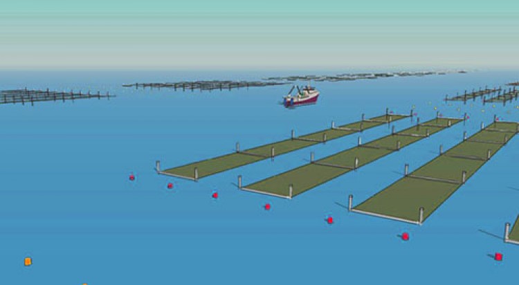 SEAWEED FARMING: An artistic impression of the multifunctional sustainable seafarm. (Koers en Vaart)