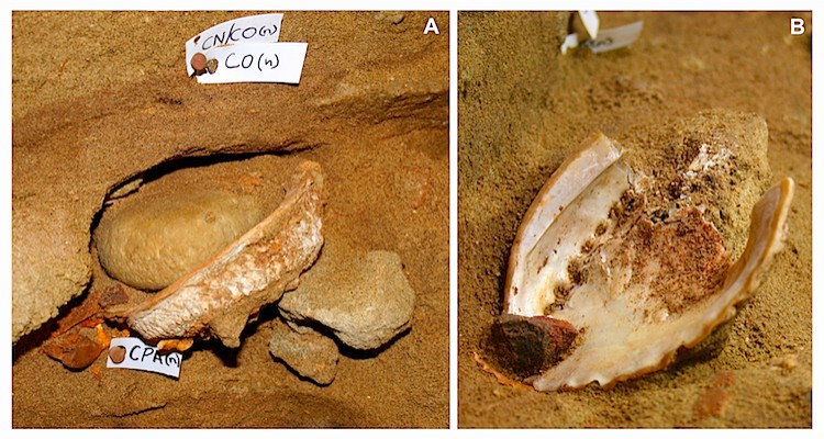 An ochre-rich mixture stored in two abalone shells was discovered at Blombos Cave in Cape Town, South Africa. (Chris Henshilwood/University of the Witwatersrand)