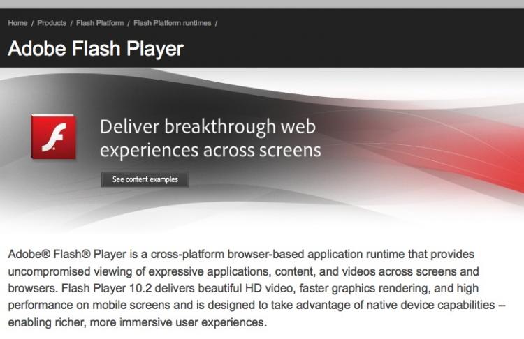 A screenshot of Adobe's Flash home page. Adobe announced a vulnerability in the latest versions of Adobe Flash today. (The Epoch Times)