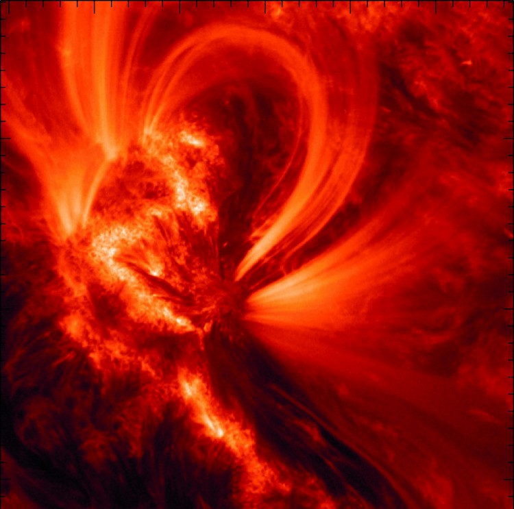 Image of hot (one million degree) active region loops. (SDO/AIA (NASA)) 