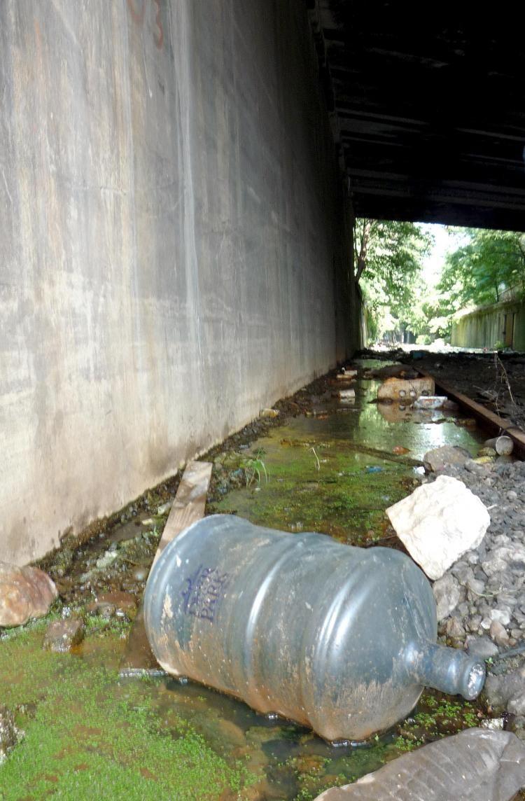 The South Bronx 'swamp' had been home to garbage, pests, and odors since its abandonment. (Christine Lin/The Epoch Times)