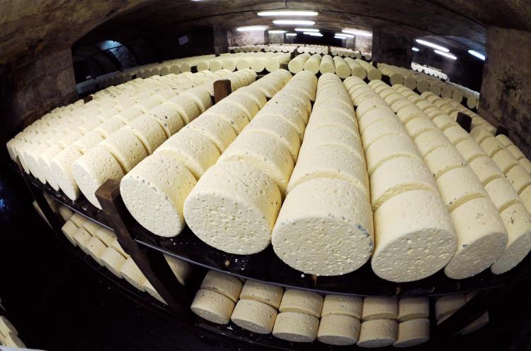 Picture of Roquefort cheeses taken on January 16, 2009 in a cellar at Roquefort-sur-Soulzon, southern France.  (Remy Gabalda/AFP/Getty Images)