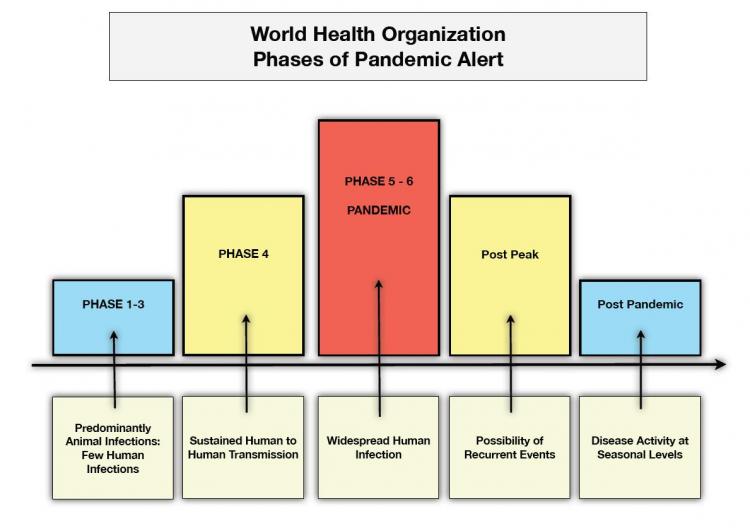 Chart showing data from the World Health Organization on the different phases of a pandemic alert. (created by Joshua Philipp/The Epoch Times)