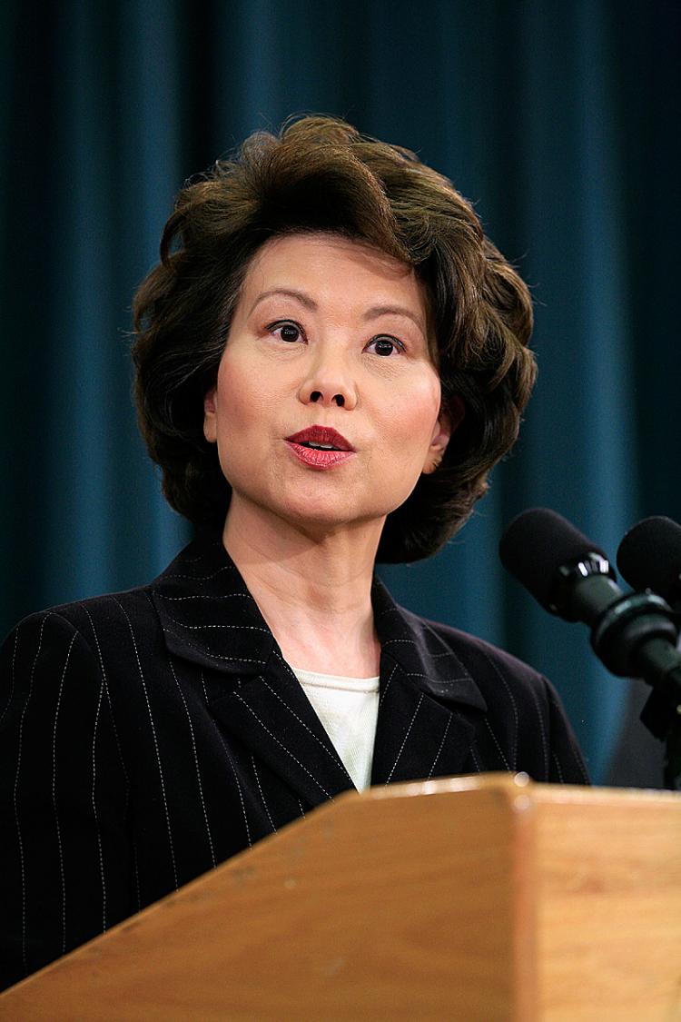 Labor Secretary Elaine Chao speaks during a news conference at the Treasury Department.   (Chip Somodevilla/Getty Images)