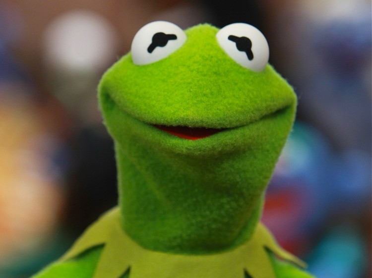 Kermit the Frog (Neilson Barnard/Getty Images)