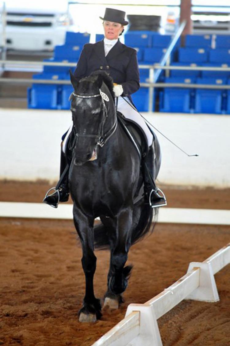 PAN-AM EQUESTRIAN: Ellie Stine-Masek, 'S' level dressage judge, riding the Friesan gelding, HortensiusDW.