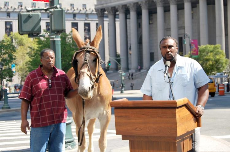 John W. Boyd, Jr. (R), founder and president of the National Black Farmers Association, spoke in front of the New York County Supreme Court building on Tuesday, Sept. 7. Boyd walked around the nearby park with a mule following a press conference, which was held to raise awareness of a stalled bill that promises funding for black farmers. (Angela Wang/The Epoch Times)
