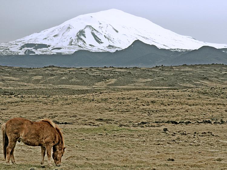 The Hekla volcano in peaceful times. (Lydur Skulason)
