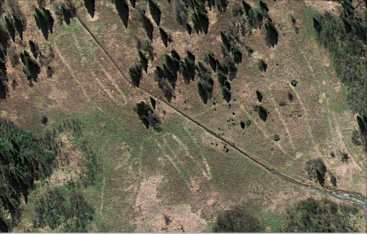 A screenshot of the geoglyph from Google Maps. (The Epoch Times) 