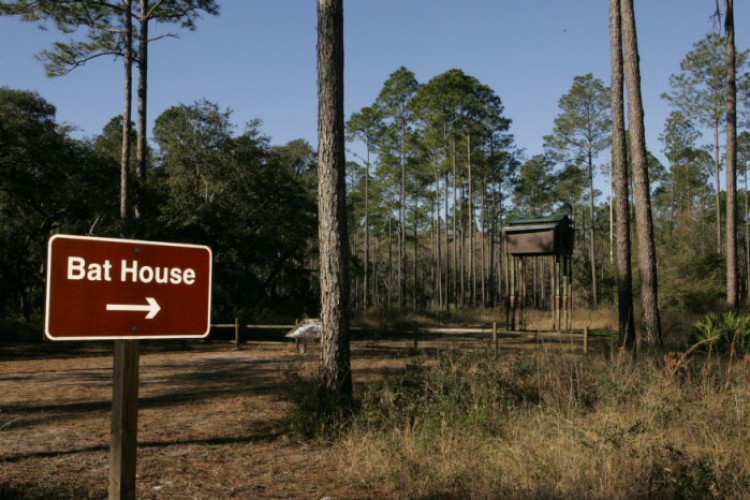 BAT HAVEN: Bat houses are used to support bat conservation efforts at the Lower Suwannee National Wildlife Refuge in Florida. (Steve Hillebrand/U.S. Fish and Wildlife Service)