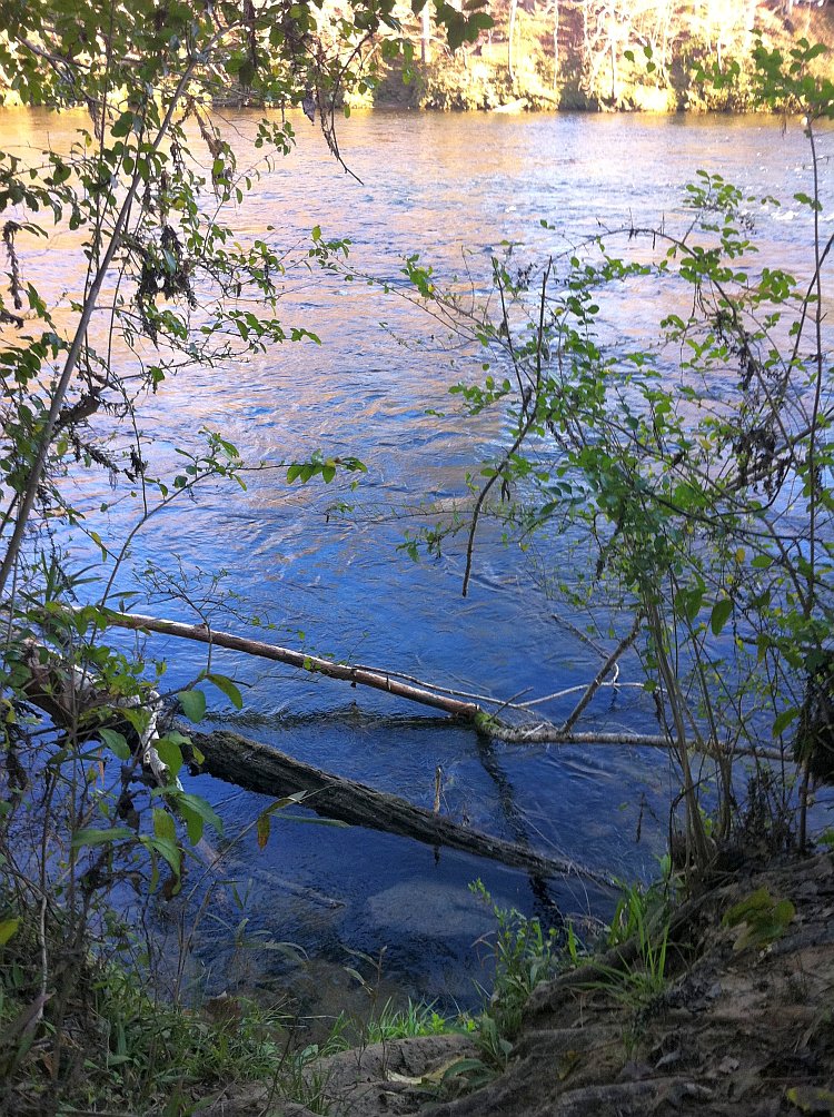 A quiet meditative spot on the banks of the scenic Saluda Shoals River