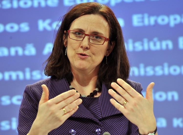 EU Commissioner Cecilia Malmstroem pictured at a press conference on February 24, 2010 at EU headquarters in Brussels.