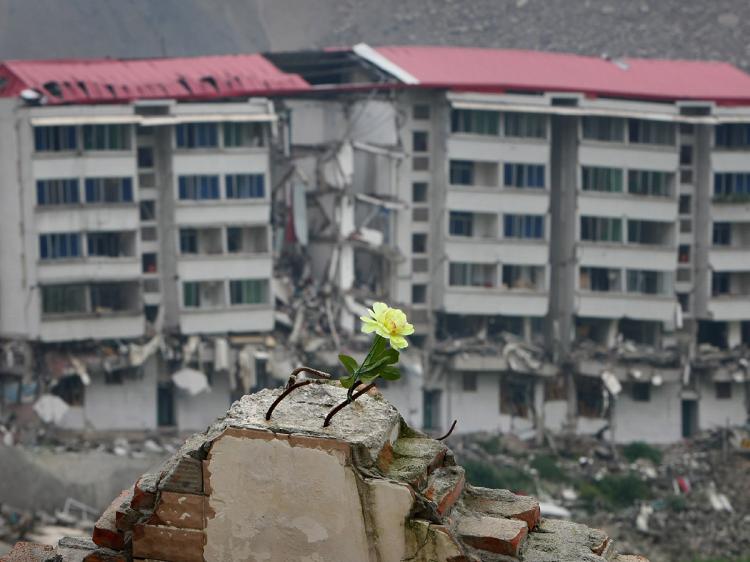 A flower is left on the ruins of a building by relatives of earthquake victims as they mourn at the ruins of earthquake-hit Beichuan county on May 11, 2009 in Mianyang of Sichuan Province, China. (Feng Li/Getty Images)