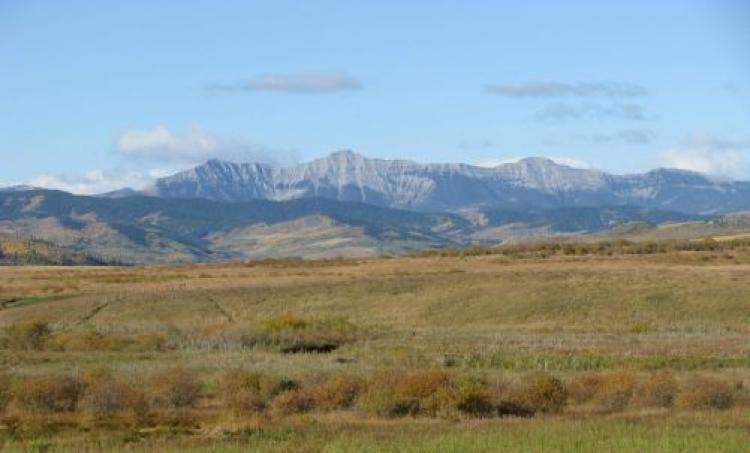 Ranchers in Alberta's Kananaskis Country are concerned that a proposed pipeline will cause irreparable damage to the region's water, wildlife, wildlands and native grasses.  (Pekisko Group)