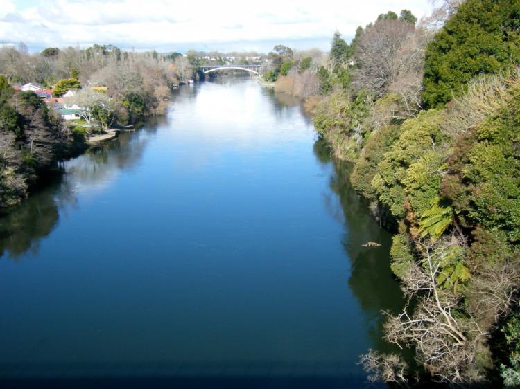 New Zealand river and lake water quality has declined over the past 20 years.  (Diane Cordemans/Epoch Times)