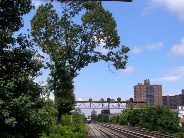 HAZARD: The tall, beautiful oak leaning ever-so-slightly over the tracks was deemed a hazard by the Long Island Rail Road engineering department and was cut down as others have been, and will continue to be, in the area.  (Courtesy of The Metropolitan Transportation Authority )