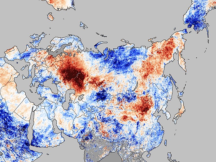 TEMPERATURE ANOMALIES: Map showing data from July 20-27, 2010, based on land surface temperatures observed by the Moderate Resolution Imaging Spectroradiometer (MODIS) on NASA's Terra satellite. (Above-average temperatures = red/orange; below-average temperatures = blue; waterways = gray). (NASA/Earth Observatory)