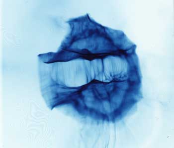  	Plasmas stream from the top and bottom to form large-scale electromagnetic fields. (Lawrence Livermore National Laboratory) 