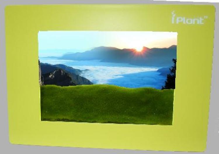 MINI PRAIRIE: A frame with grass.  (Courtesy of Yu Chyu Company)
