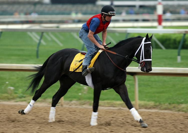 I WANT REVENGE: In training for the 135th Kentucky Derby.  (Andy Lyons/Getty Images )