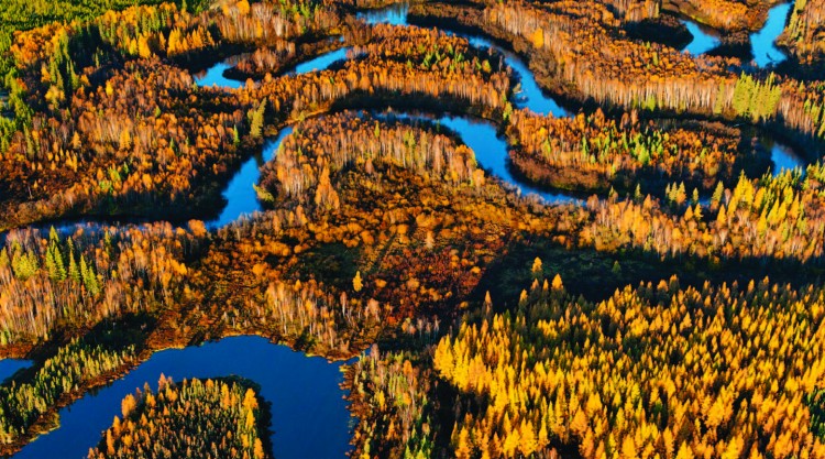 Photographer Garth Lenz won first prize in SocialDocumentary.net's Ten Years After 9/11 call for entries with his work 'Canada's Tar Sands and the True Cost of Oil', now on display in Brooklyn. 'Boreal Forest and Wetland', by Garth Lenz, Athabasca Delta, Northern Alberta, 2010. (PowerHouse Arena)