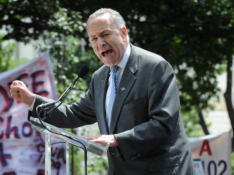 US Senator Charles Schumer (D-NY) addresses a massive rally on June 25, 2009 on Capitol Hill in Washington, DC. (Tim Sloan/AFP/Getty Images)