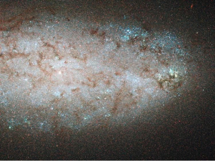 NO MORE STARBURST: This image of Galaxy NGC 2976 from the Hubble Space Telescope suggests that its star creation process is ending. (Space Telescope Science Institute)