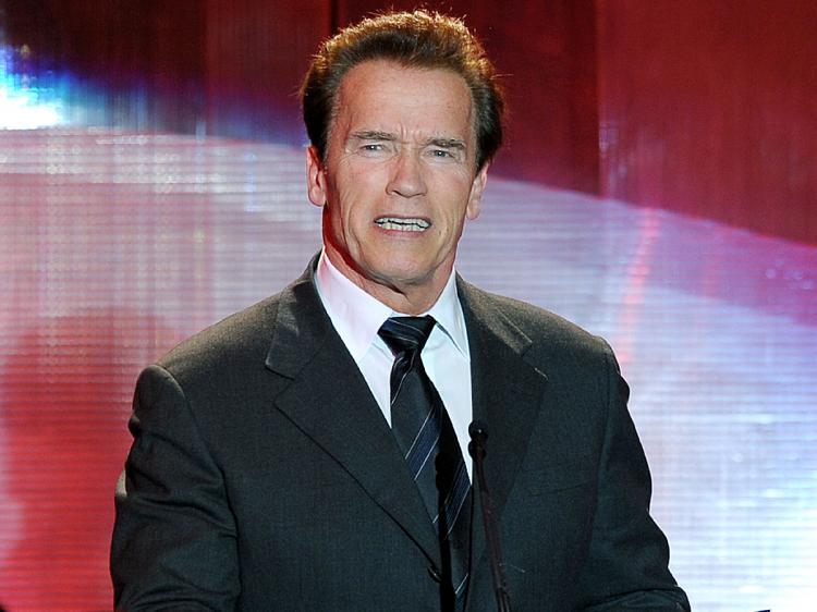 California Governor Arnold Schwarzenegger suggests sending illegal immigrants to Mexico. (Kevin Winter/Getty Images)
