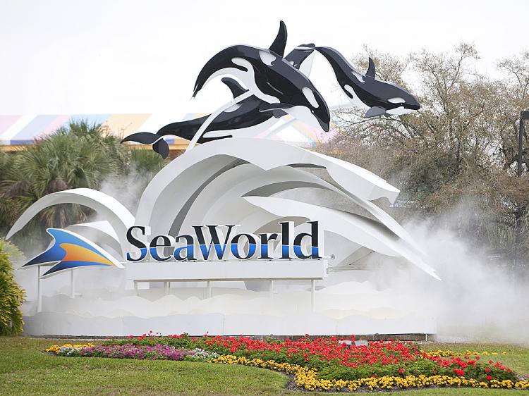 The sign at the entrance to SeaWorld February 24, 2010 in Orlando, Florida, where female trainer who presumably slipped and fell in to a holding tank was fatally injured after she was attacked by an orca. (Matt Stroshane/Getty Images)
