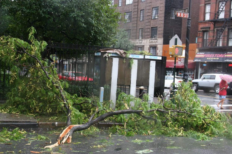 A tree has fallen at West 10th Street and Greenwich Avenue. (Zack Stieber/The Epoch Times)