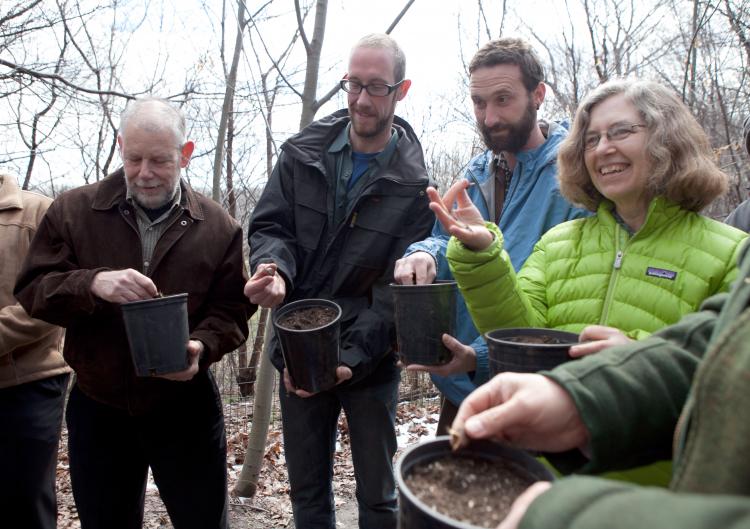 HYBRID CHESTNUTS: Park volunteer Bart Chezar (L) and curator of Native Flora Garden at Brooklyn Botanical Garden Uli Lorimer (second from L) with other park officials examine blight-resistant American Chestnut seeds on Thursday at Prospect Park in Brookly (Amal Chen/The Epoch Times)