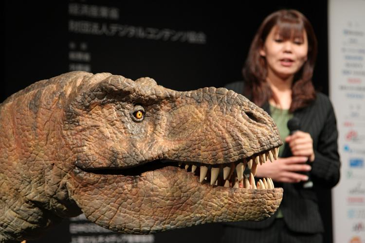 A model display T-Rex, dinosaur-type two-legged robot, stands on show during the Digital Content Expo 2008 in Nihon Miraikan on October 23, 2008 in Tokyo, Japan. (Koichi Kamoshida/Getty Images)